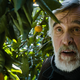 Image for article titled The Oscar-nominated Tangerines is more interesting before the bullets start flying